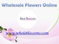 Wholesale Flowers For Diy Weddings - www.wholeblossoms.com PowerPoint PPT Presentation