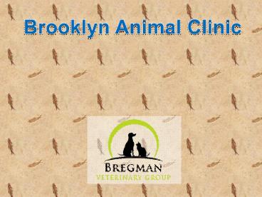 Brooklyn animal clinic