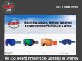The ESS Board Present Ski Goggles in Sydney PowerPoint PPT Presentation
