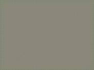 ESE 691 Begins Education / snaptutorial.com