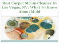 Best Carpet Steam Cleaner In Las Vegas, NV: What To Know About Mold PowerPoint PPT Presentation