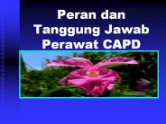Peran dan Tanggung Jawab Perawat CAPD