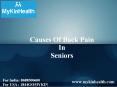 Causes Of Back Pain In Elder People PowerPoint PPT Presentation