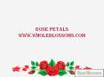 Bulk Rose Petals - www.wholeblossoms.com PowerPoint PPT Presentation