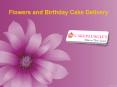 Flowers and Birthday Cake Delivery |Online Cake Delivery Hyderabad PowerPoint PPT Presentation