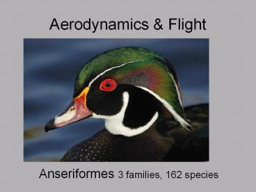 Aerodynamics