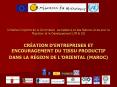 Initiative Conjointe de la Commission europ PowerPoint PPT Presentation