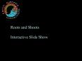 Roots and Shoots PowerPoint PPT Presentation