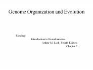 Genome Organization and Evolution