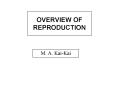 OVERVIEW OF REPRODUCTION PowerPoint PPT Presentation