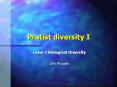 Protist diversity I PowerPoint PPT Presentation
