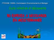 Poulpe / octopus vulgaris