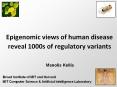 Epigenomic views of human disease reveal 1000s of regulatory variants PowerPoint PPT Presentation