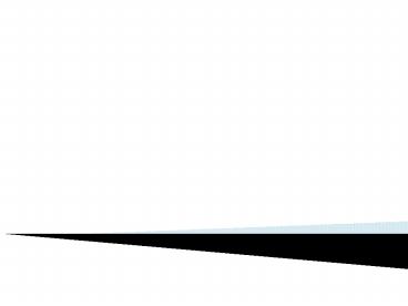 Miami Tours - Things to do in Miami