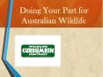 Doing Your Part for Australian Wildlife PowerPoint PPT Presentation