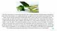 What are the Aloe Vera products available in the market? PowerPoint PPT Presentation