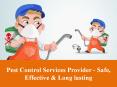 Pest Control Services Provider in Charleston sc PowerPoint PPT Presentation