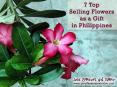 Top selling flowers as a gift in Philippines PowerPoint PPT Presentation