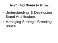 Nurturing Brand to Grow PowerPoint PPT Presentation