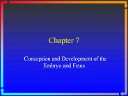 Conception%20and%20Development%20of%20the%20Embryo%20and%20Fetus