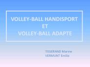 VOLLEY-BALL HANDISPORT ET VOLLEY-BALL ADAPTE