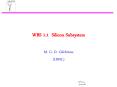 WBS 1.1 Silicon Subsystem PowerPoint PPT Presentation