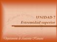 UNIDAD 7 Extremidad superior PowerPoint PPT Presentation