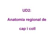 UD2:  Anatomia regional de  cap i coll