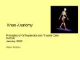 Knee Anatomy PowerPoint PPT Presentation