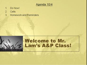 Welcome to Mr. Lam