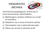 PROKARYOTES ARCHAEA