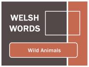 Wild Animals