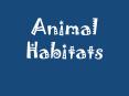 Animal Habitats PowerPoint PPT Presentation