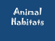 Animal Habitats