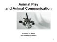 Animal%20Play%20and%20Animal%20Communication PowerPoint PPT Presentation