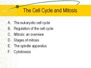 The Cell Cycle and Mitosis