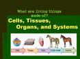 Cells, Tissues,  Organs, and Systems PowerPoint PPT Presentation