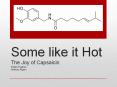 Some like it Hot PowerPoint PPT Presentation
