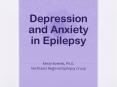 Depression and Anxiety in Epilepsy PowerPoint PPT Presentation