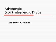 Adrenergic%20