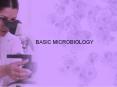BASIC MICROBIOLOGY PowerPoint PPT Presentation