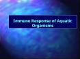 Immune Response of Aquatic Organisms PowerPoint PPT Presentation
