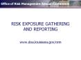 RISK EXPOSURE GATHERING AND REPORTING PowerPoint PPT Presentation