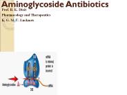 Aminoglycoside%20Antibiotics