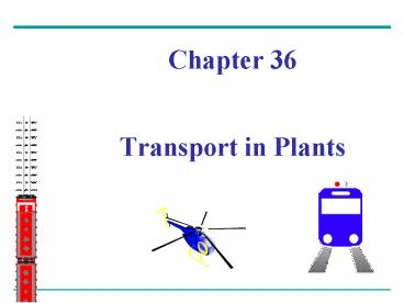 Chapter 36  Transport in Plants