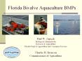 Florida Bivalve Aquaculture BMPs PowerPoint PPT Presentation