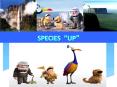 SPECIES  PowerPoint PPT Presentation
