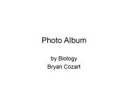 Photo Album