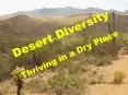 Desert Diversity PowerPoint PPT Presentation