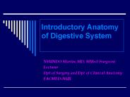 Introductory Anatomy of Digestive System